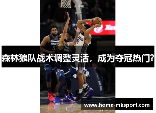 森林狼队战术调整灵活，成为夺冠热门？